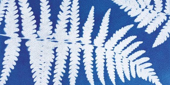 d3ed18d197337ee821e2d69e1f1917ca